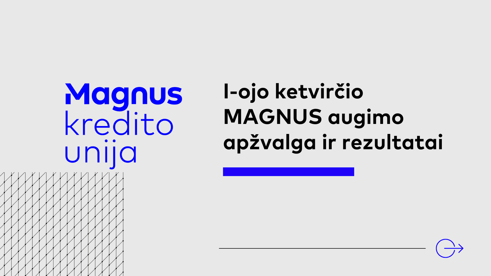 MAGNUS 2025 m. I-ojo ketvirčio augimo apžvalga